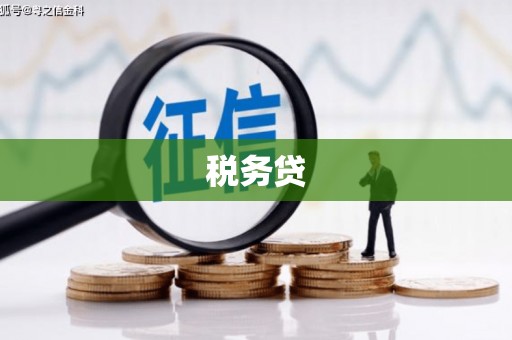 坊子税务贷