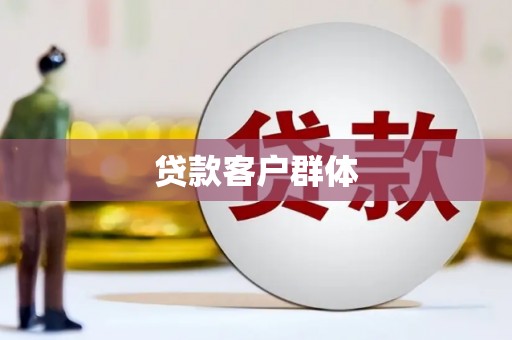 坊子贷款客户群体