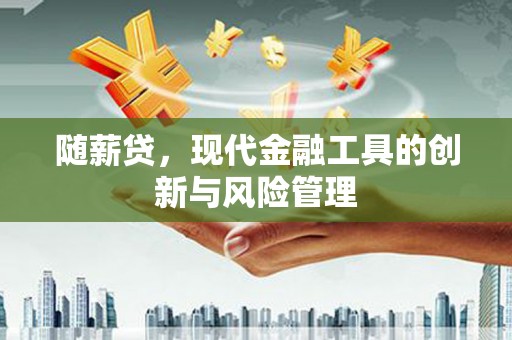 坊子随薪贷，现代金融工具的创新与风险管理