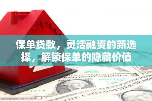 坊子保单贷款，灵活融资的新选择，解锁保单的隐藏价值