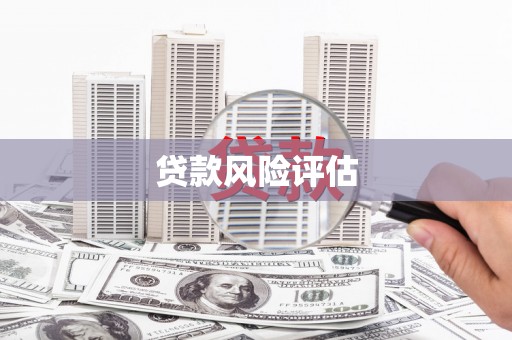 坊子贷款风险评估