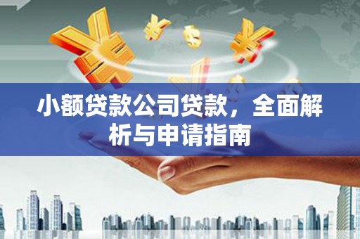 坊子小额贷款公司贷款，全面解析与申请指南