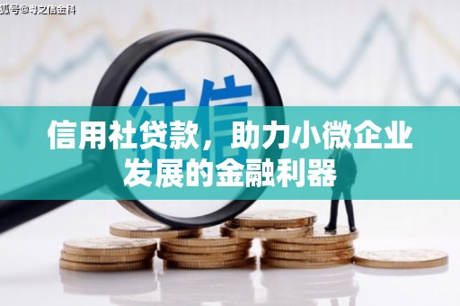 坊子信用社贷款，助力小微企业发展的金融利器