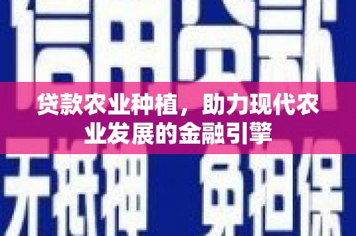 坊子贷款农业种植，助力现代农业发展的金融引擎