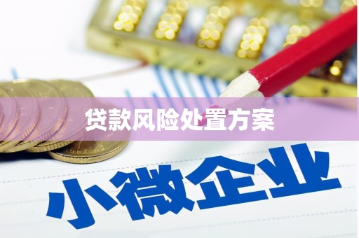 坊子贷款风险处置方案