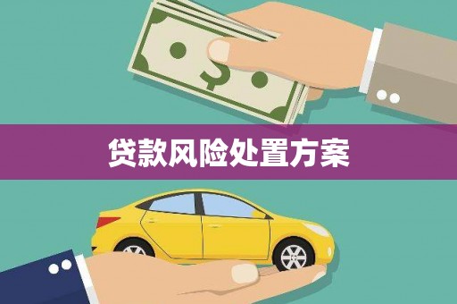坊子贷款风险处置方案