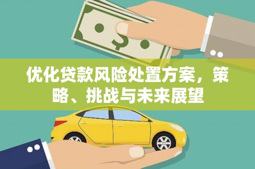 坊子优化贷款风险处置方案，策略、挑战与未来展望