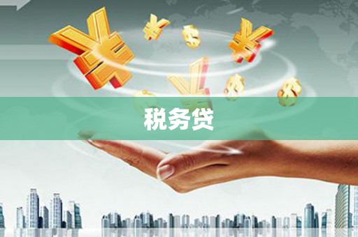 坊子税务贷