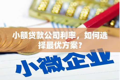 坊子小额贷款公司利率，如何选择最优方案？