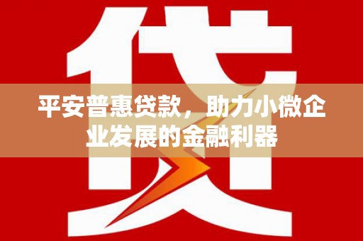 坊子平安普惠贷款，助力小微企业发展的金融利器