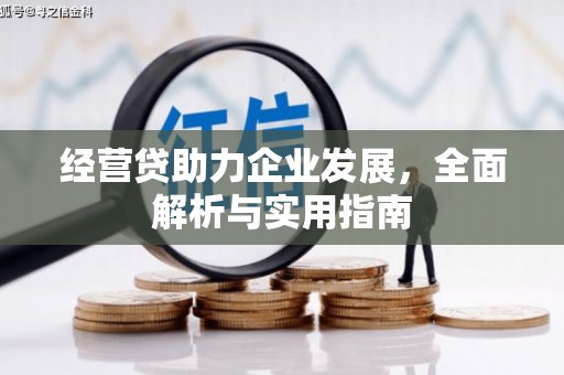 坊子经营贷助力企业发展，全面解析与实用指南