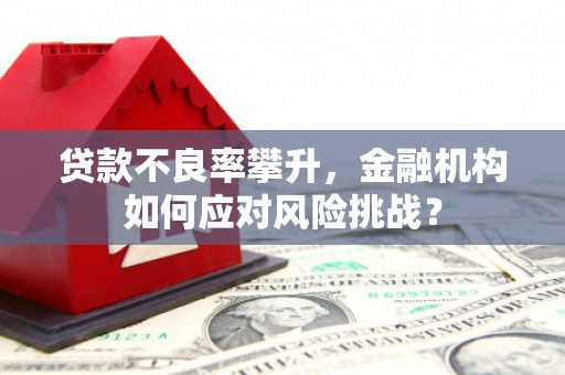 坊子贷款不良率攀升，金融机构如何应对风险挑战？