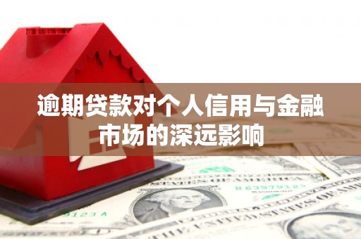 坊子逾期贷款对个人信用与金融市场的深远影响