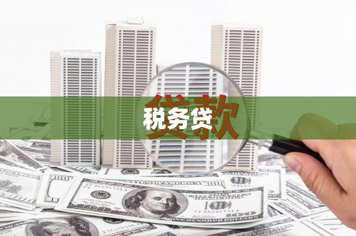 坊子税务贷