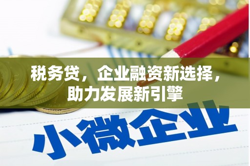 坊子税务贷，企业融资新选择，助力发展新引擎
