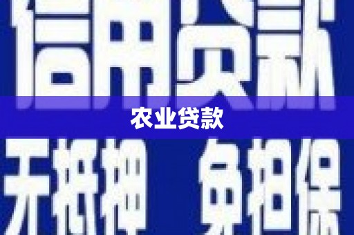 坊子农业贷款