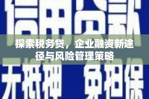 坊子探索税务贷，企业融资新途径与风险管理策略