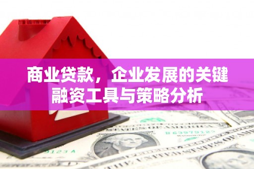 坊子商业贷款，企业发展的关键融资工具与策略分析