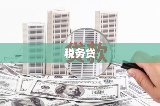 坊子税务贷