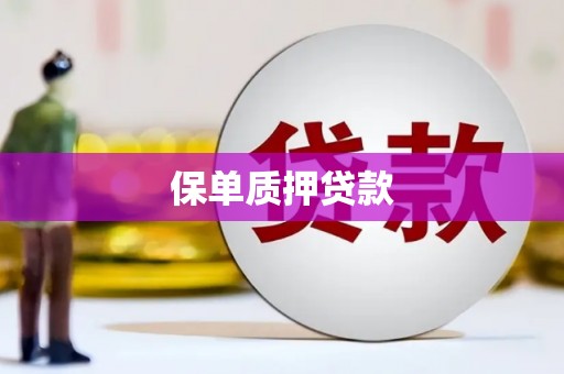 坊子保单质押贷款