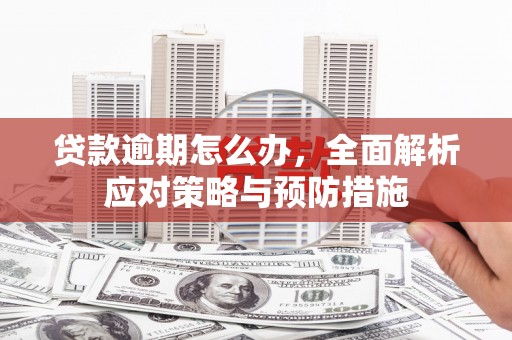 坊子贷款逾期怎么办，全面解析应对策略与预防措施