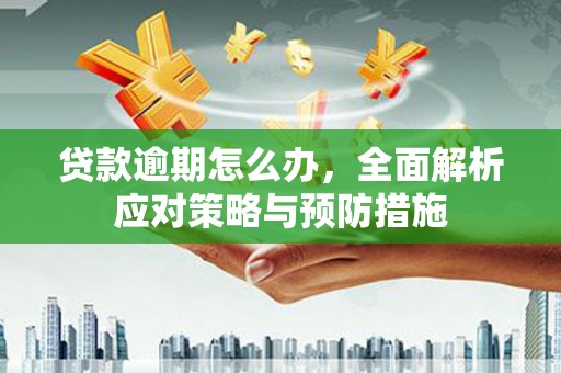 坊子贷款逾期怎么办，全面解析应对策略与预防措施