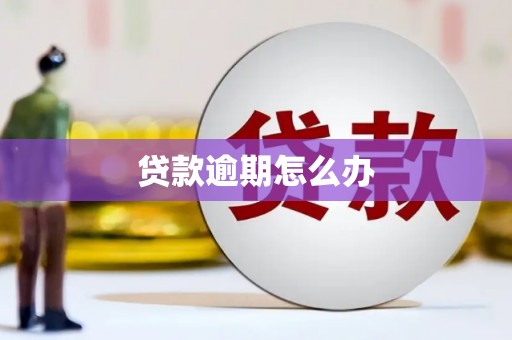 坊子贷款逾期怎么办