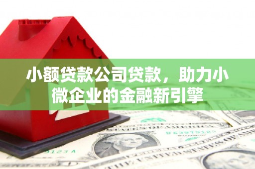 坊子小额贷款公司贷款，助力小微企业的金融新引擎