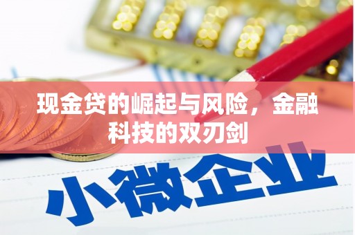 坊子现金贷的崛起与风险，金融科技的双刃剑