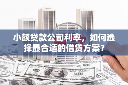 坊子小额贷款公司利率，如何选择最合适的借贷方案？