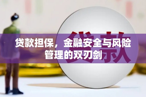 坊子贷款担保，金融安全与风险管理的双刃剑