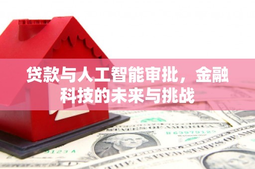 坊子贷款与人工智能审批，金融科技的未来与挑战