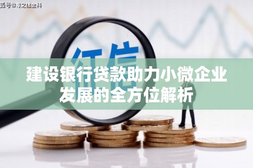 坊子建设银行贷款助力小微企业发展的全方位解析