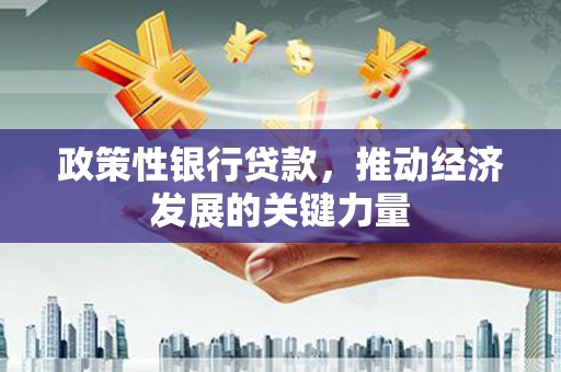 坊子政策性银行贷款，推动经济发展的关键力量