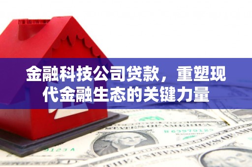 坊子金融科技公司贷款，重塑现代金融生态的关键力量