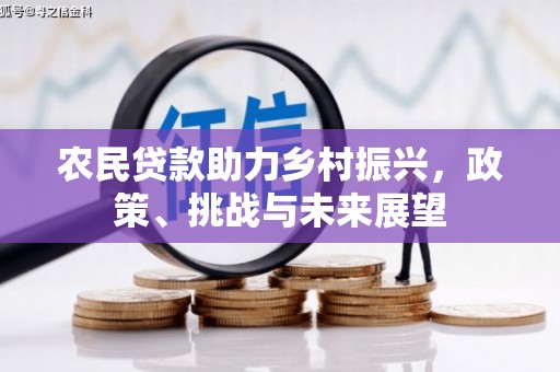 坊子农民贷款助力乡村振兴，政策、挑战与未来展望