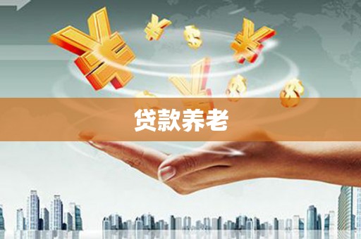 坊子贷款养老
