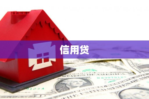 坊子信用贷