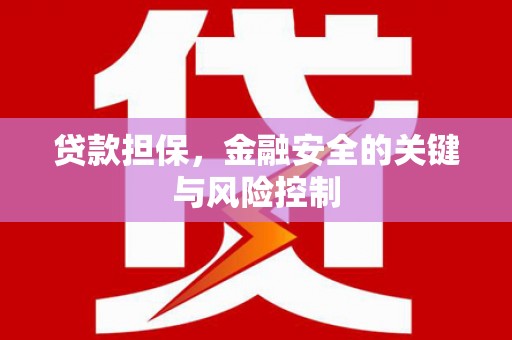 坊子贷款担保，金融安全的关键与风险控制
