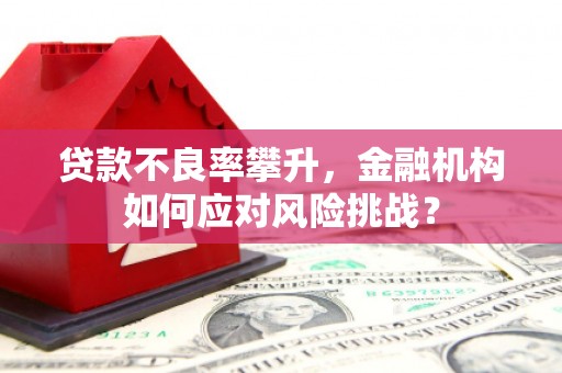 坊子贷款不良率攀升，金融机构如何应对风险挑战？