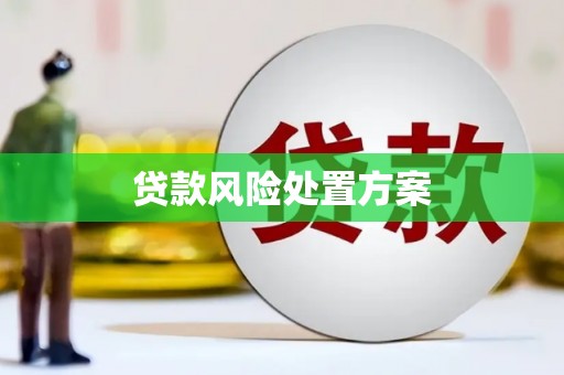 坊子贷款风险处置方案