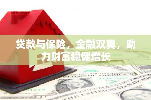 坊子贷款与保险，金融双翼，助力财富稳健增长