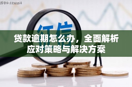 坊子贷款逾期怎么办，全面解析应对策略与解决方案