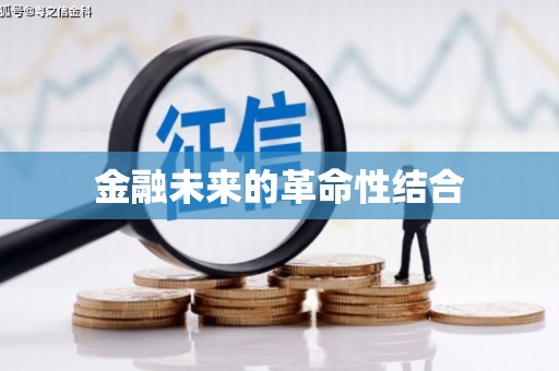 坊子金融未来的革命性结合